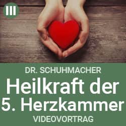 Videovortrag - Die Heilkraft der 5. Herzkammer - Dr. Schuhmacher